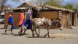 TANZANIA - Villaggio Masai di Engaruka - 11